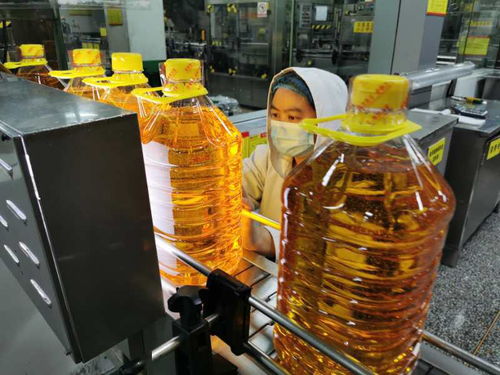 湖北襄州 9億元支持企業達產滿產 復工復產