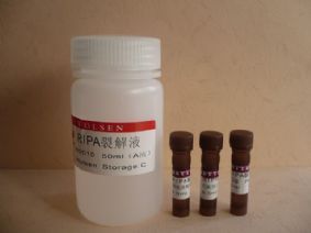 供應(yīng)CAS:1188-37-0,N-乙酰-L-谷氨酸報(bào)價(jià)25克 1公斤 100克(sigma,TCI)-產(chǎn)品展示-卡邁舒生物技術(shù)(上海)