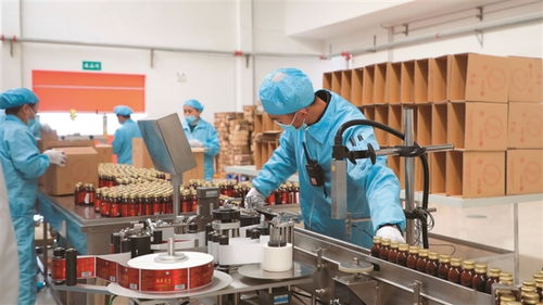 岢嵐 用 千萬(wàn)工程 經(jīng)驗(yàn)繪寫(xiě)和美